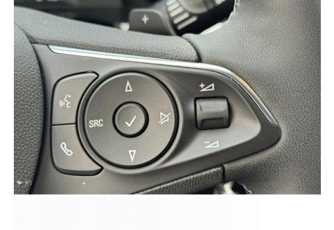 Opel Grandland X #19