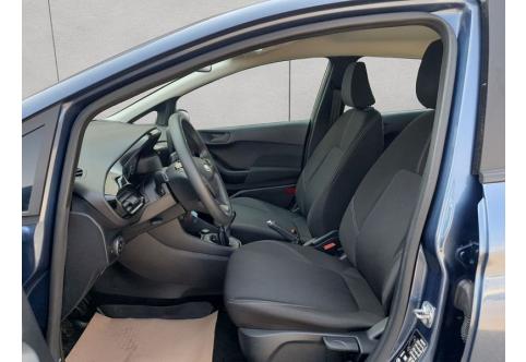 Ford Fiesta #10