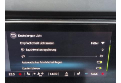 Skoda Octavia #17