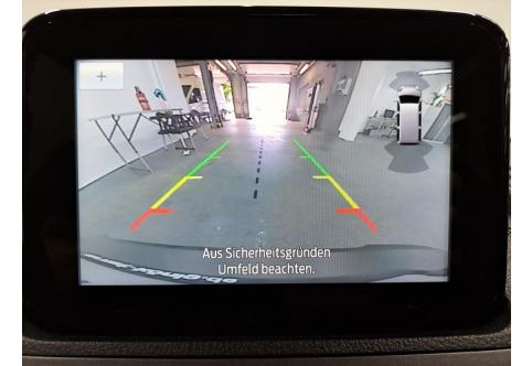Ford Tourneo Connect #11