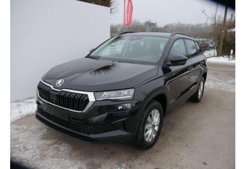 Skoda Karoq #1