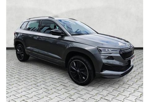 Skoda Karoq #1