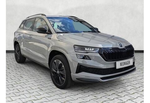 Skoda Karoq #1