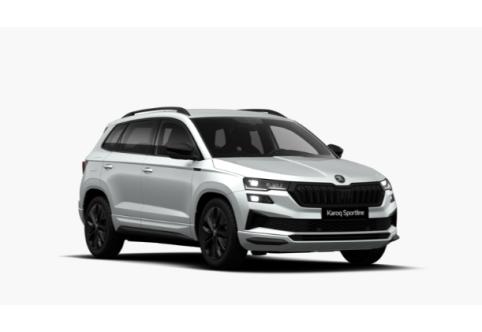Skoda Karoq #1