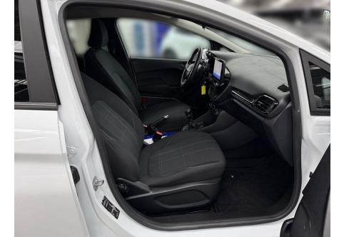 Ford Fiesta #17