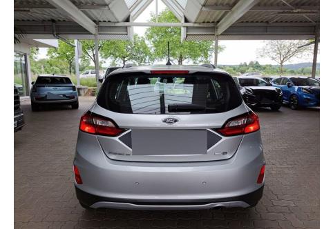 Ford Fiesta #22