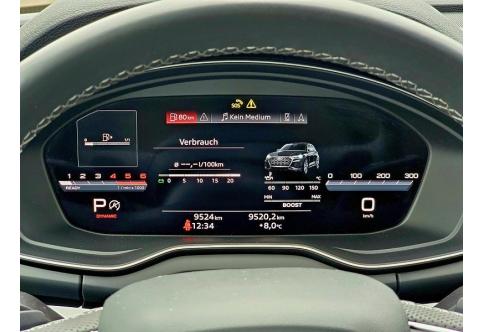 Audi SQ5 #22