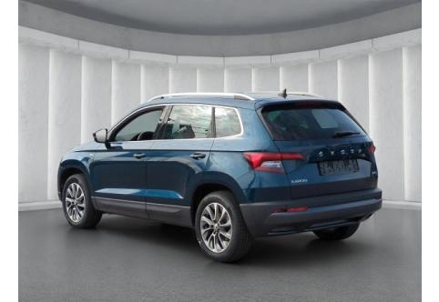 Skoda Karoq #19