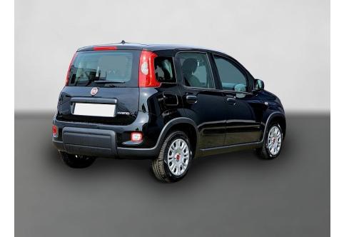 Fiat Panda #2