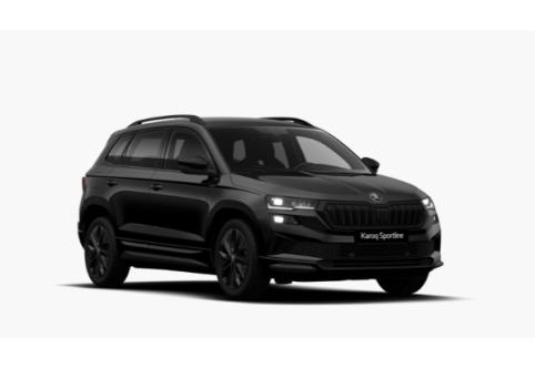 Skoda Karoq #1
