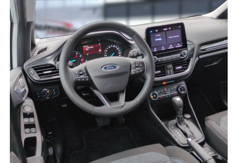 Ford Fiesta #8