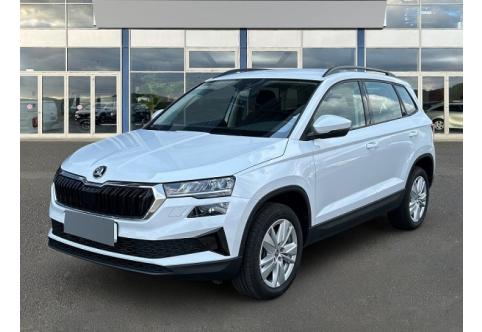 Skoda Karoq #1