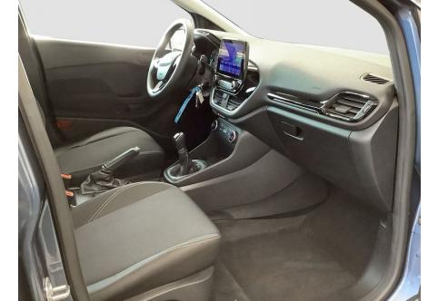 Ford Fiesta #10