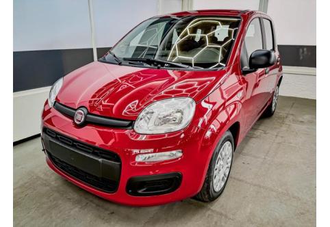 Fiat Panda #1