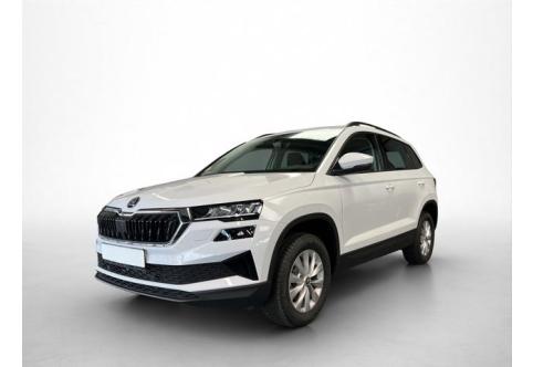 Skoda Karoq #1
