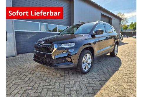 Skoda Karoq #1