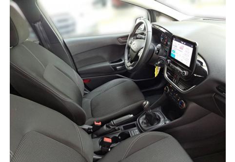 Ford Fiesta #17