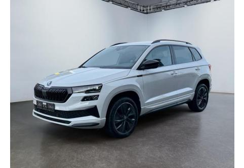 Skoda Karoq #1