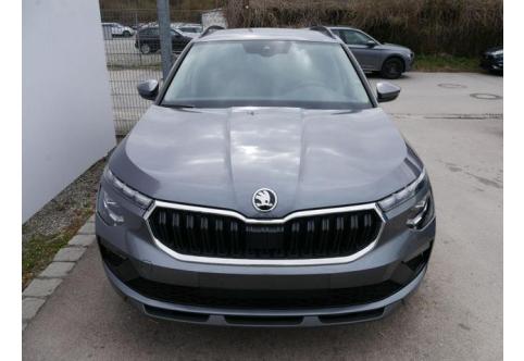 Skoda Kamiq #1