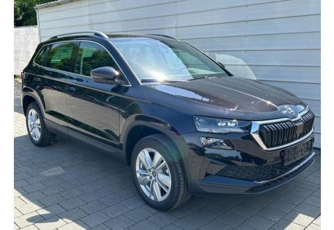 Skoda Karoq #1