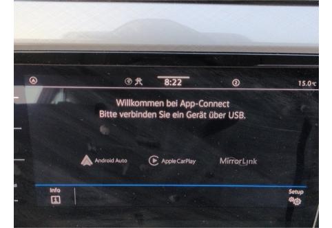 VW Passat #16