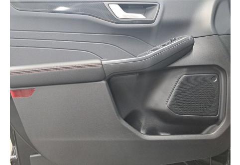 Ford Kuga #9