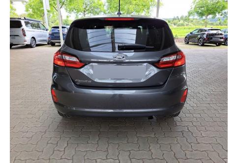 Ford Fiesta #23