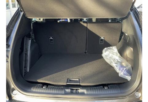 Ford Kuga #22