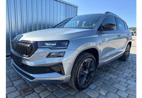 Skoda Karoq #1