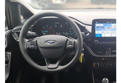 Ford Fiesta #9