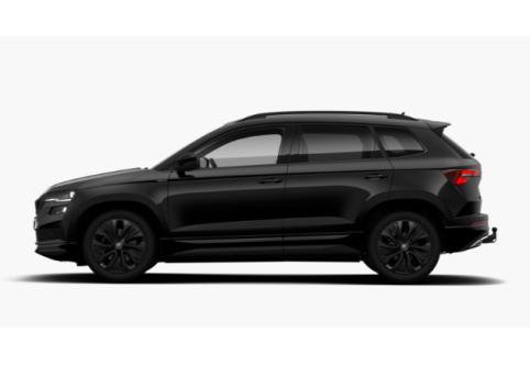 Skoda Karoq #3