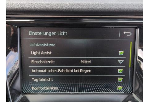 Skoda Fabia #17