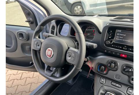 Fiat Panda #26