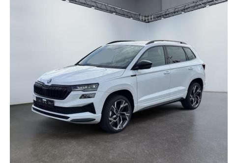 Skoda Karoq #1