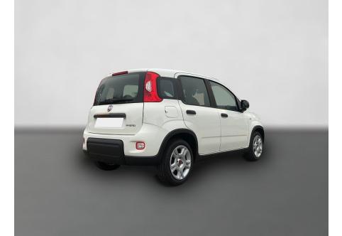 Fiat Panda #3