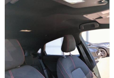 Ford Puma #20