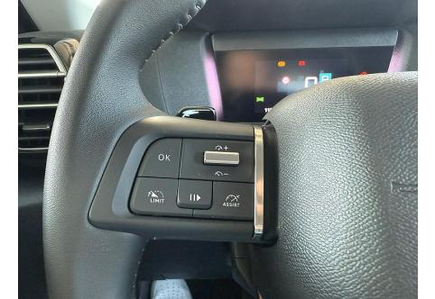 Citroen C4 #22