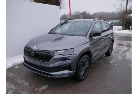 Skoda Karoq #1