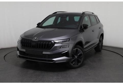 Skoda Karoq #1