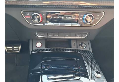 Audi SQ5 #19