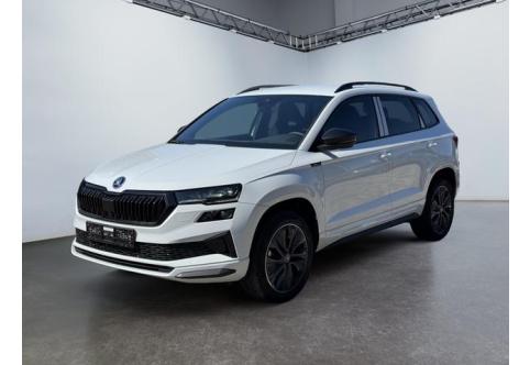 Skoda Karoq #2