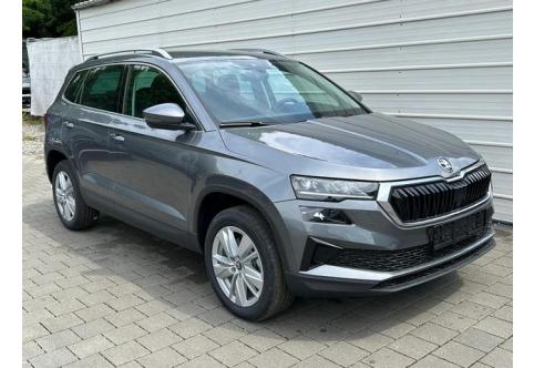Skoda Karoq #1