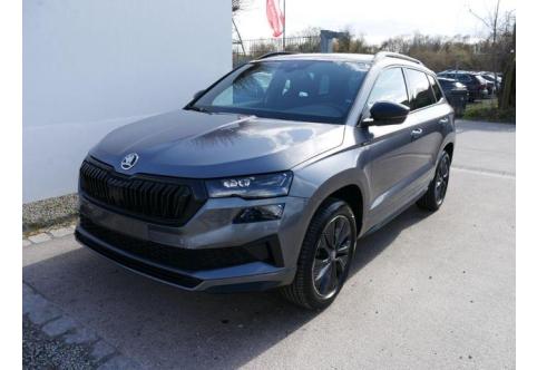 Skoda Karoq #1