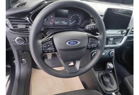 Ford Fiesta #10