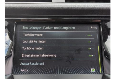 Skoda Fabia #14