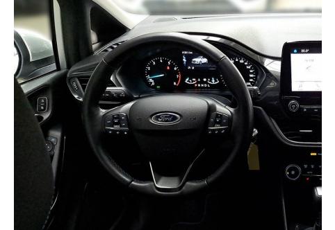 Ford Fiesta #10