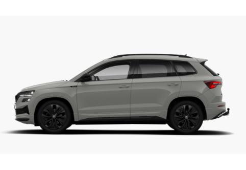 Skoda Karoq #3