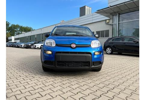 Fiat Panda #6