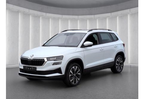 Skoda Karoq #1