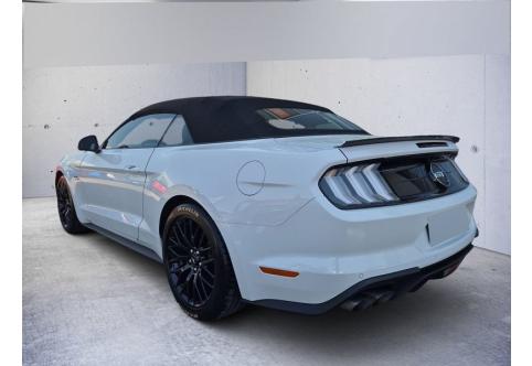 Ford Mustang #3